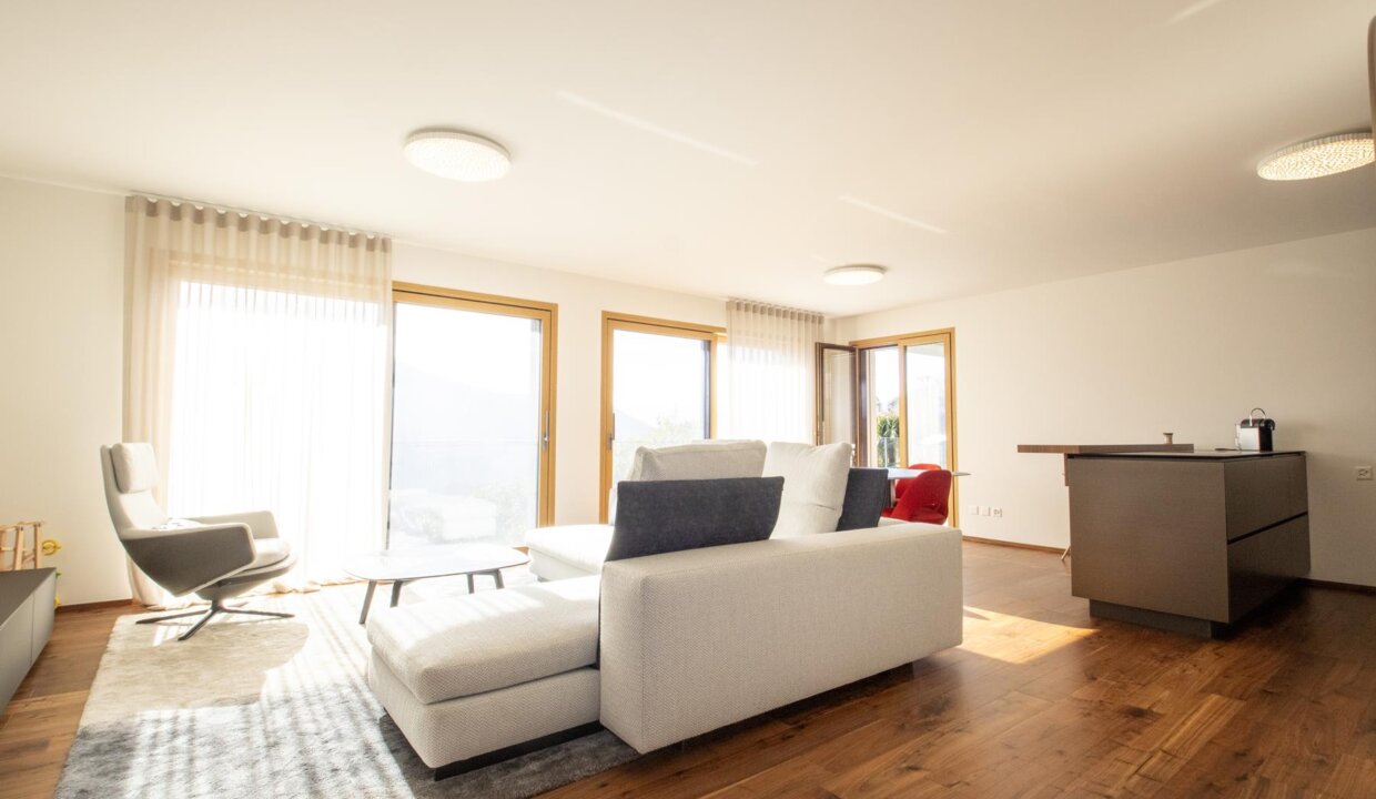 AA's Immobilien-Minusio-4.5 Luxus Apartment (8)